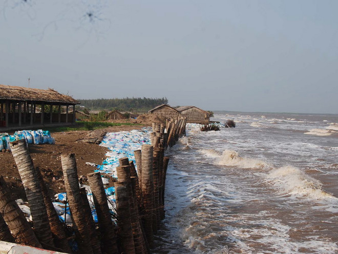 Ứng phó biến đổi khí hậu ở ĐBSCL cần sớm có một "nhạc trưởng" ảnh 1