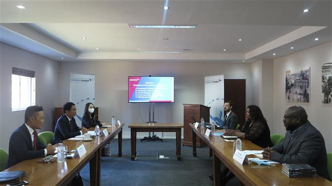 Chủ động tìm hướng thúc đẩy quan hệ kinh tế Việt Nam-Nam Phi ảnh 2