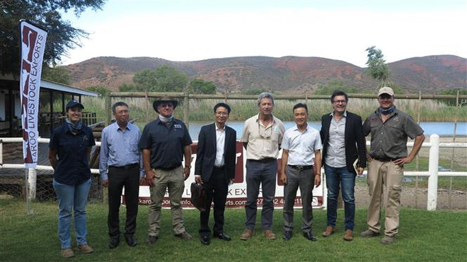 Chủ động tìm hướng thúc đẩy quan hệ kinh tế Việt Nam-Nam Phi ảnh 3