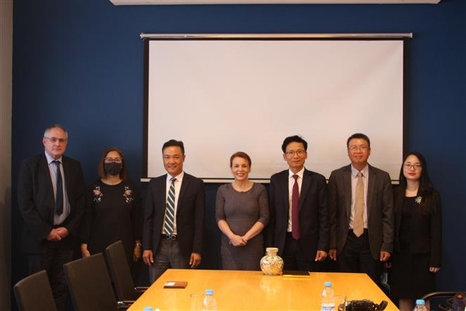 Chủ động tìm hướng thúc đẩy quan hệ kinh tế Việt Nam-Nam Phi ảnh 4