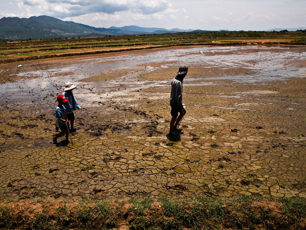 Việt Nam đối mặt một mùa Đông ấm và El Nino kéo dài kỷ lục ảnh 1