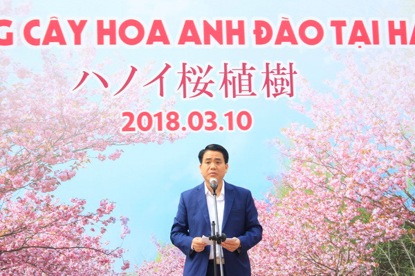 Hà Nội: Thêm 500 cây hoa anh đào được trồng tại Công viên Hòa Bình ảnh 2