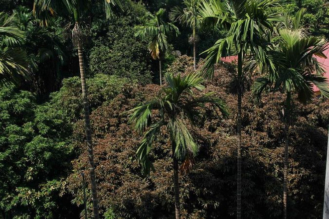 Hà Giang: Dân hoang mang vì khí clo rò rỉ ở Trạm xử lý nước ảnh 1