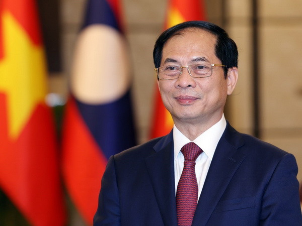 Bộ trưởng Ngoại giao Bùi Thanh Sơn. (Ảnh: TTXVN/phát) Việt Nam luôn coi trọng quan hệ hữu nghị, hợp tác toàn diện với Lào ảnh 1