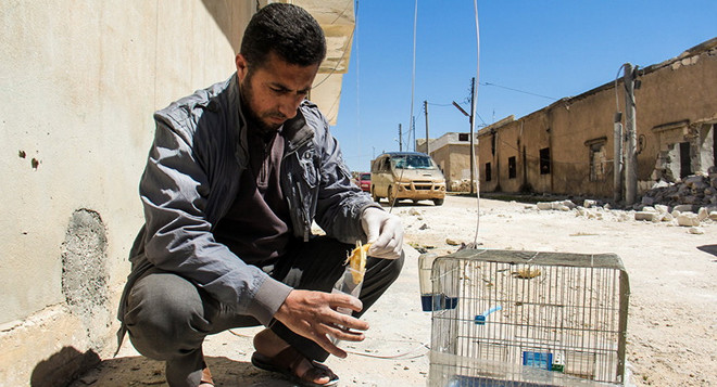 Công ty quân sự Anh phủ nhận dàn dựng vụ tấn công hóa học ở Syria ảnh 1