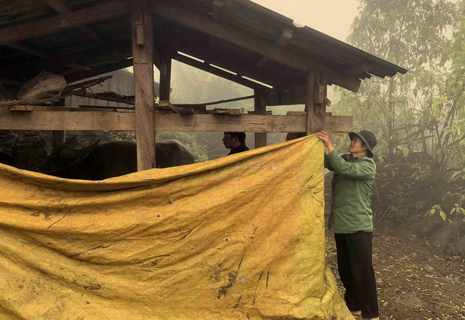 Đêm 26/12, vùng núi Bắc Bộ có nơi rét hại, có nơi dưới 10 độ C ảnh 1