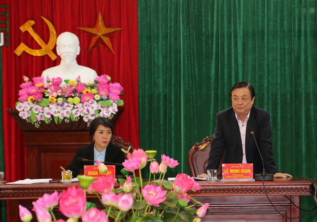 Lạng Sơn: Xây dựng chiến lược dài hạn về xuất nhập khẩu ảnh 1