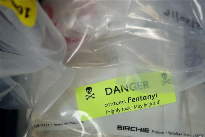 Mỹ buộc tội 3 công dân Trung Quốc buôn bán trái phép fentanyl ảnh 1