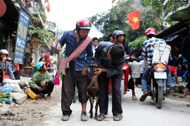 Độc đáo phiên chợ trên vùng cao Hoàng Su Phì ảnh 2