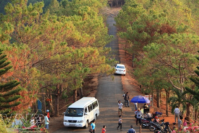 Biển Hồ - “Viên ngọc xanh” trên phố núi Pleiku ảnh 2