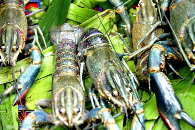 Pakse - Vùng đất quyến rũ với những kỷ niệm khó quên ảnh 9