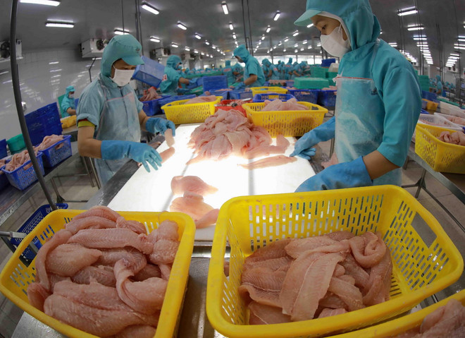 ttxvn_ca tra (2).jpg