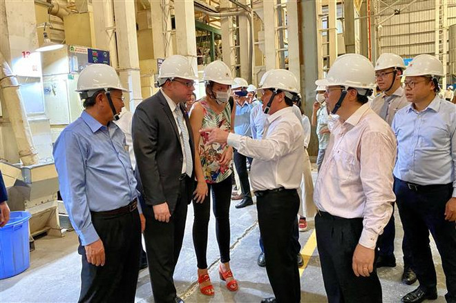 An Giang xuất khẩu lô hàng 126 tấn gạo thơm Jasmine 85 sang EU ảnh 4