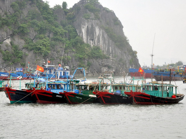 Bão số 1 sẽ đổ bộ vào đất liền tỉnh Quảng Ninh trong 12 giờ tới ảnh 1