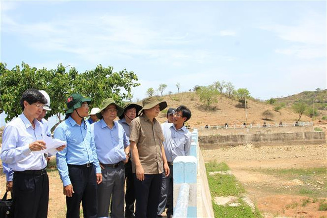 Tìm giải pháp ứng phó với hạn hán nặng nề tại Bình Thuận ảnh 1