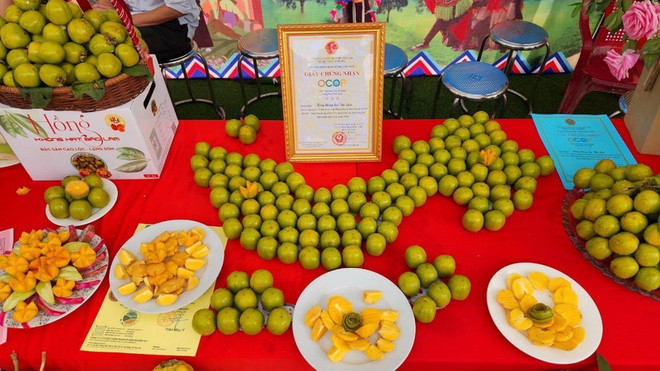 Lạng Sơn: Đẩy mạnh quảng bá, tiêu thụ hồng không hạt Bảo Lâm ảnh 1
