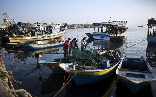 Israel mở rộng phạm vi cho phép đánh cá ở ngoài khơi Dải Gaza ảnh 1