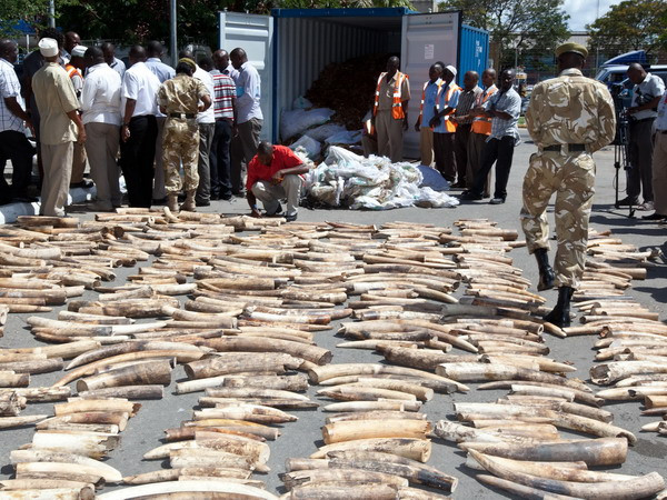 Tuyên bố London chống buôn bán động vật hoang dã ảnh 1