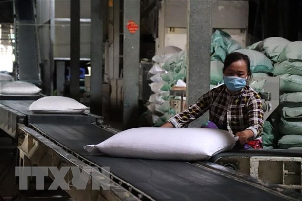 Chế biến gạo xuất khẩu. (Ảnh: Thu Hiền/TTXVN) VFA kiến nghị một số giải pháp cụ thể về sản xuất và xuất khẩu gạo ảnh 2