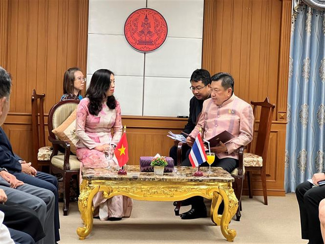 Kiều bào Thái Lan tiếp nối giá trị văn hóa và truyền thống dân tộc ảnh 2