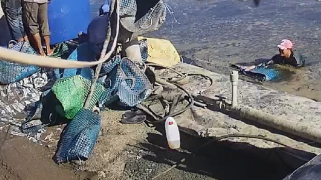 Bắt tạm giam thêm 6 đối tượng trong vụ dàn cảnh trộm tôm ở Cà Mau ảnh 1
