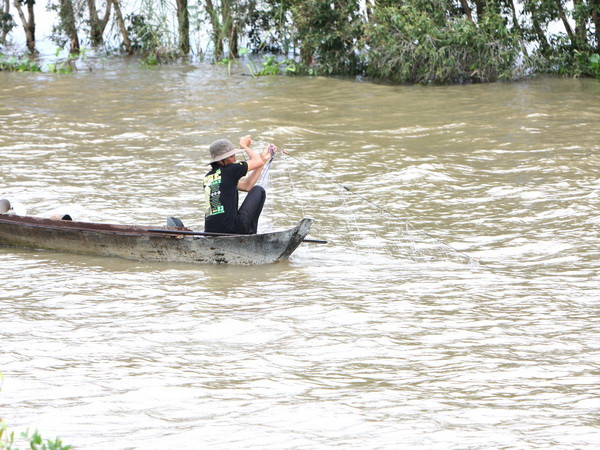 Hấp dẫn du lịch trải nghiệm mùa nước nổi ở Vườn Tràm Chim ảnh 3