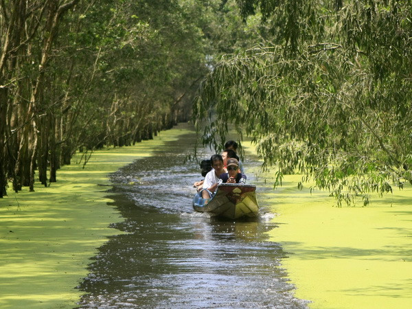 Hấp dẫn du lịch trải nghiệm mùa nước nổi ở Vườn Tràm Chim ảnh 1