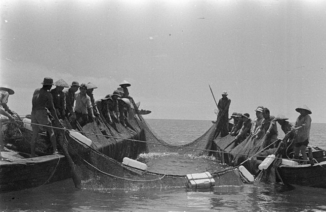 [Photo] 62 năm Ngày truyền thống ngành Thủy sản Việt Nam ảnh 32