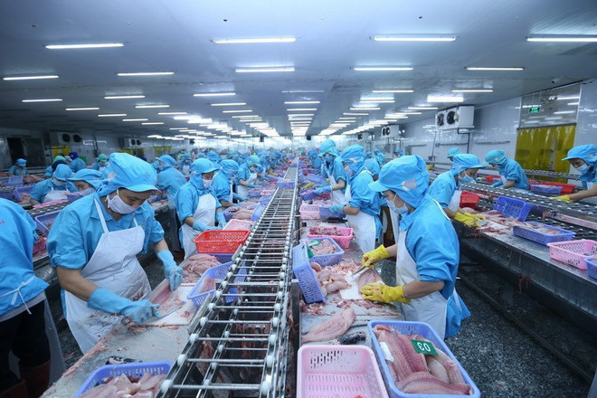 [Photo] 62 năm Ngày truyền thống ngành Thủy sản Việt Nam ảnh 24