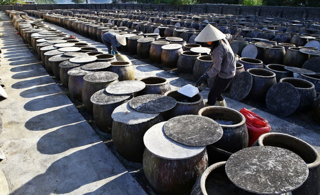 [Photo] 62 năm Ngày truyền thống ngành Thủy sản Việt Nam ảnh 8