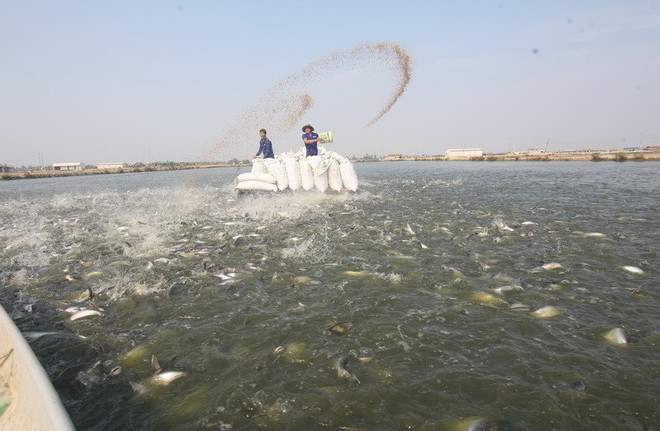 [Photo] 62 năm Ngày truyền thống ngành Thủy sản Việt Nam ảnh 16