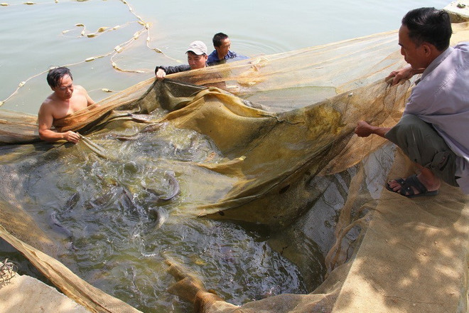 [Photo] 62 năm Ngày truyền thống ngành Thủy sản Việt Nam ảnh 9
