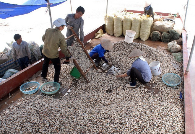 [Photo] 62 năm Ngày truyền thống ngành Thủy sản Việt Nam ảnh 10