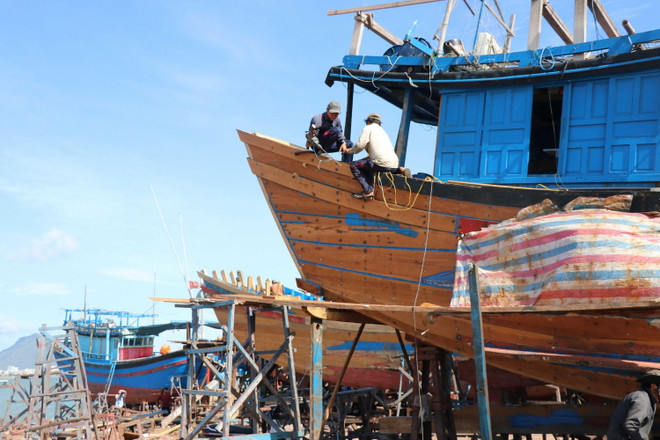 [Photo] 62 năm Ngày truyền thống ngành Thủy sản Việt Nam ảnh 7