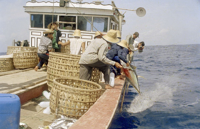 [Photo] 62 năm Ngày truyền thống ngành Thủy sản Việt Nam ảnh 23