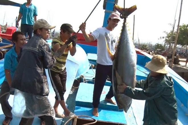 [Photo] 62 năm Ngày truyền thống ngành Thủy sản Việt Nam ảnh 2