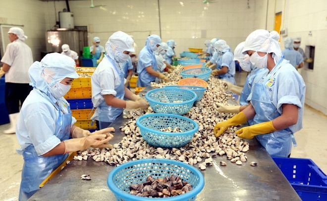 [Photo] 62 năm Ngày truyền thống ngành Thủy sản Việt Nam ảnh 20