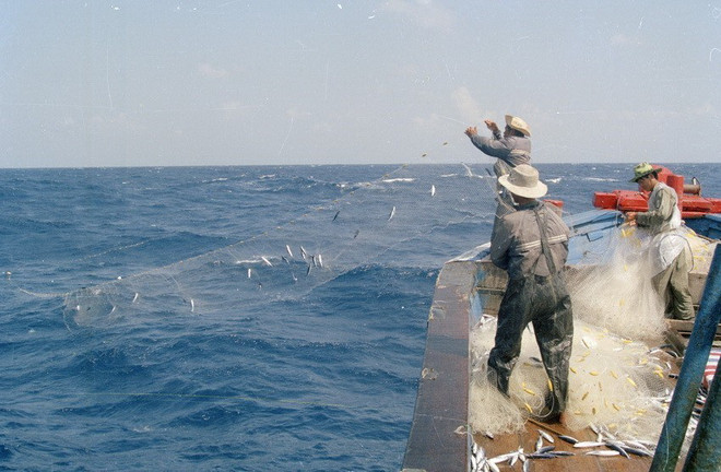 [Photo] 62 năm Ngày truyền thống ngành Thủy sản Việt Nam ảnh 28