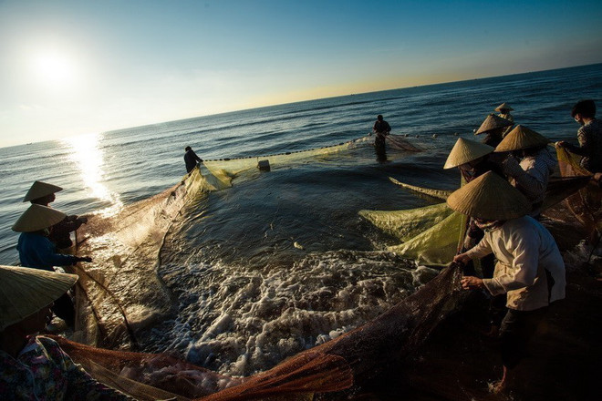 [Photo] 62 năm Ngày truyền thống ngành Thủy sản Việt Nam ảnh 37
