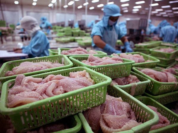 Việt Nam đứng đầu về xuất khẩu sản phẩm cá sang Colombia ảnh 1