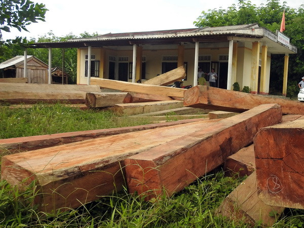 Kon Tum: Phát hiện bãi gỗ lớn lớn với hơn 28m3 gỗ vô chủ ảnh 1