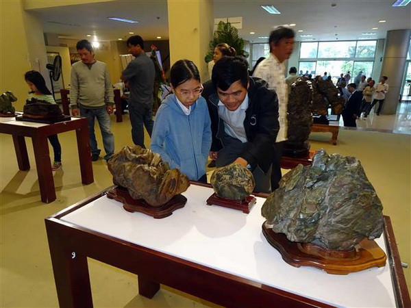 Bộ sưu tập đá cảnh thiên nhiên độc đáo theo nghệ thuật Suiseki ảnh 1