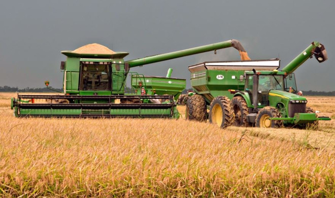 Trung Quốc cho phép nhập khẩu gạo từ Mỹ nhằm giảm căng thẳng ảnh 1