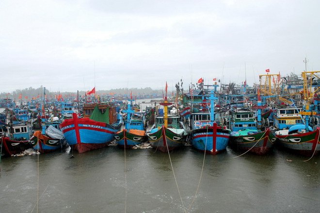 Toàn tỉnh Quảng Ngãi còn hơn 1.100 tàu cá chưa vào bờ trú bão ảnh 1