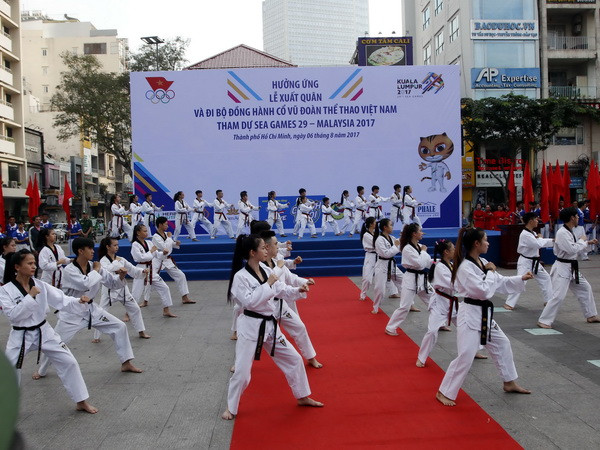 SEA Games 29: Đẩy mạnh xã hội hóa các môn thể thao đỉnh cao ảnh 1