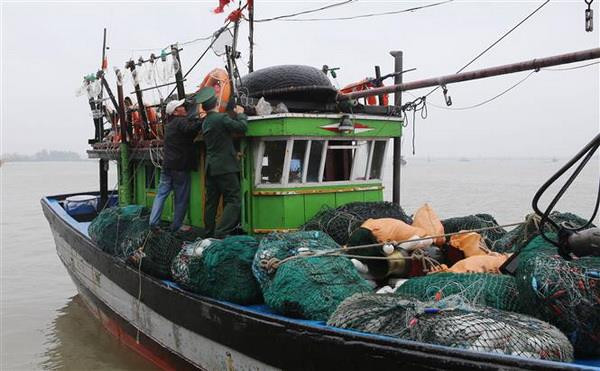 Trạm Kiểm soát biên phòng Thuận An, Bộ đội Biên phòng tỉnh Thừa Thiên-Huế kiểm tra, kiểm soát, hướng dẫn ngư dân chuẩn bị những điều kiện cần thiết trước khi ra khơi. (Ảnh: Hồ Cầu/TTXVN) Vi phạm hành chính trong lĩnh vực thủy sản bị phạt tới 1 tỷ đồng ảnh 1