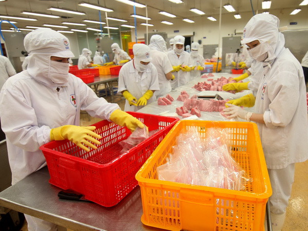 Doanh nghiệp Việt mất hàng triệu USD từ rủi ro thương mại quốc tế ảnh 1