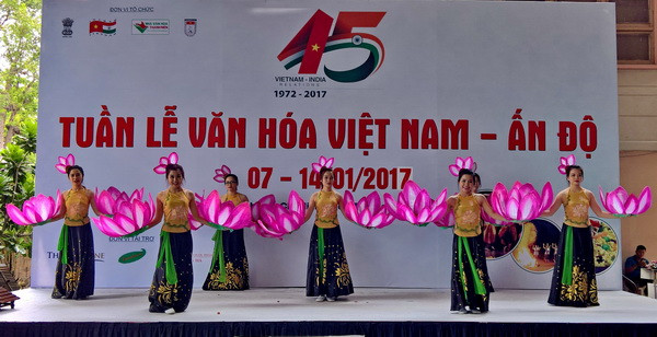 Khai mạc Tuần Văn hóa Việt-Ấn tại Thành phố Hồ Chí Minh ảnh 1