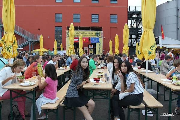 Ngày Việt Nam tại Áo: Tăng cường giao lưu kiều bào và bạn bè quốc tế ảnh 4