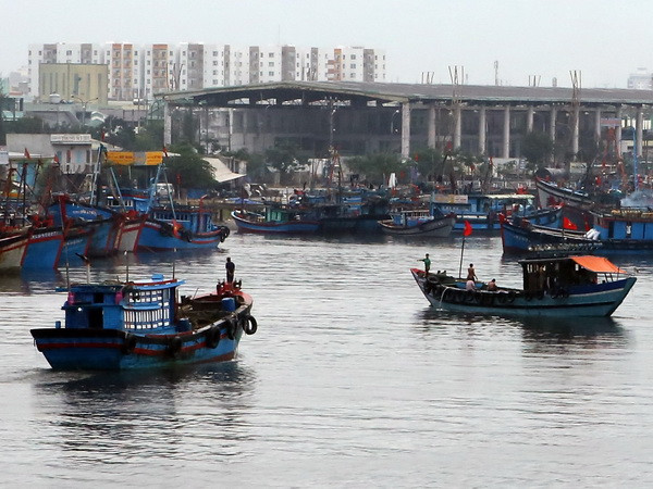 Khẩn trương kêu gọi tàu, thuyền ở Vịnh Bắc Bộ tránh bão ảnh 1